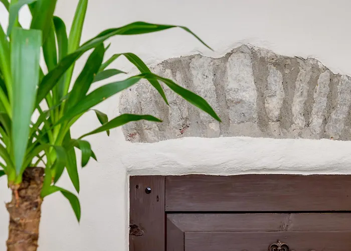 Old Hanza Daire Tallinn